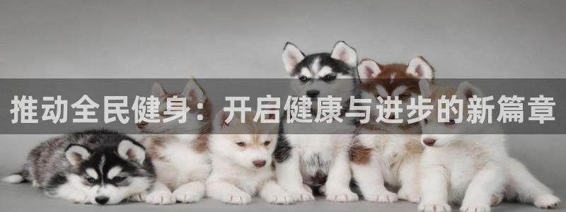 球客岛：推动全民健身：开启健康与进步的新篇章