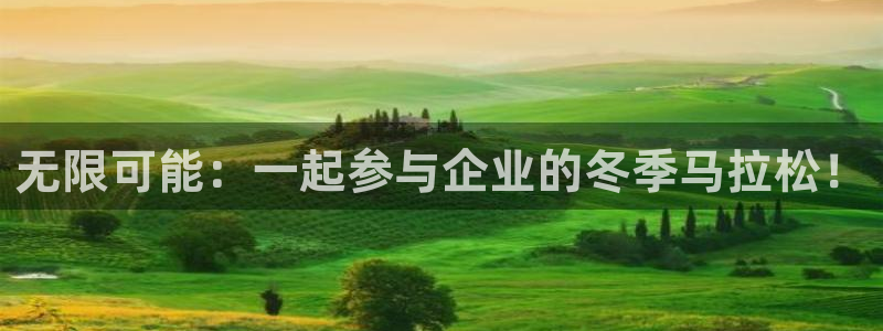 球客岛：无限可能：一起参与企业的冬季马拉松！