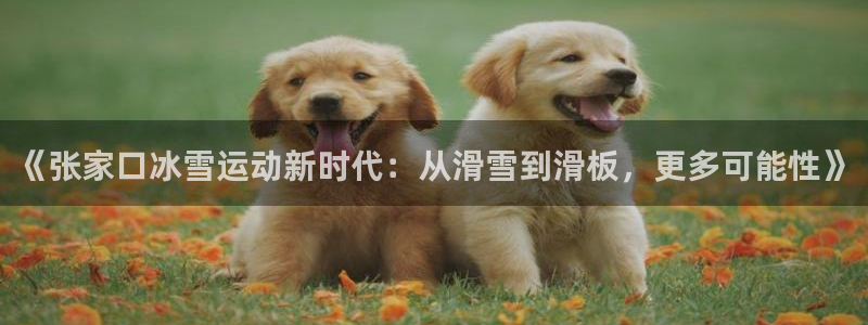 球客岛：《张家口冰雪运动新时代：从滑雪到滑板，更多可能性》