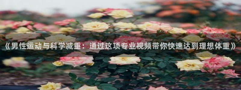 球客岛：《男性运动与科学减重：通过这项专业视频带你快速达到理想体重》