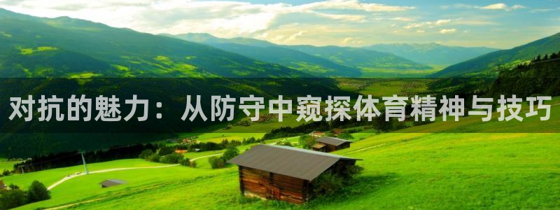 球客岛：对抗的魅力：从防守中窥探体育精神与技巧