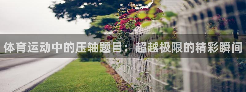 球客岛：体育运动中的压轴题目：超越极限的精彩瞬间