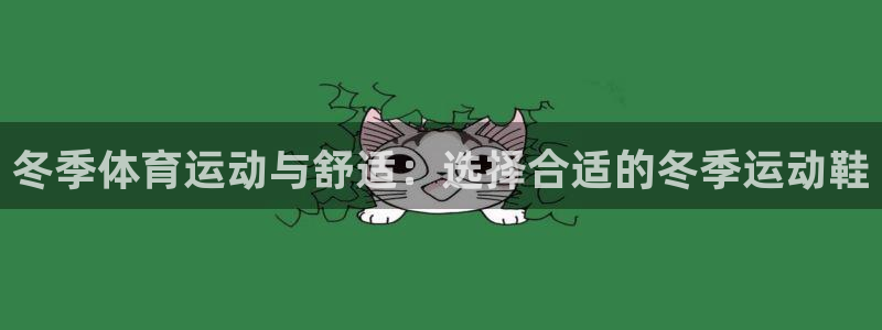 球客岛：冬季体育运动与舒适：选择合适的冬季运动鞋