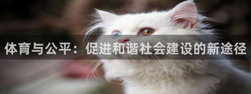 球客岛：体育与公平：促进和谐社会建设的新途径