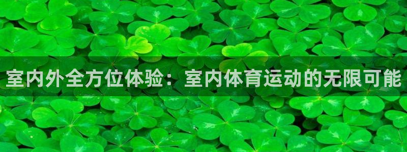 球客岛：室内外全方位体验：室内体育运动的无限可能