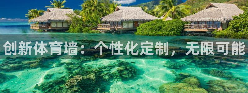 球客岛：创新体育墙：个性化定制，无限可能