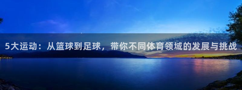 球客岛：5大运动：从篮球到足球，带你不同体育领域的发展与挑战