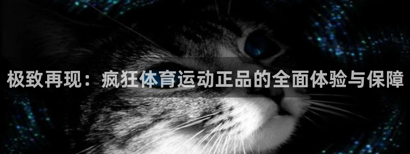 球客岛：极致再现：疯狂体育运动正品的全面体验与保障